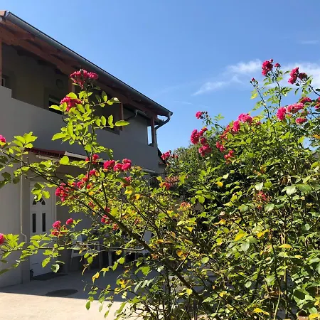 Apartman Mijailovic 4 Soko Banja