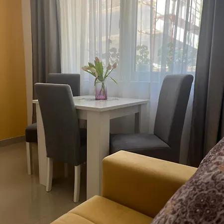 Apartman Mijailovic 4 Soko Banja