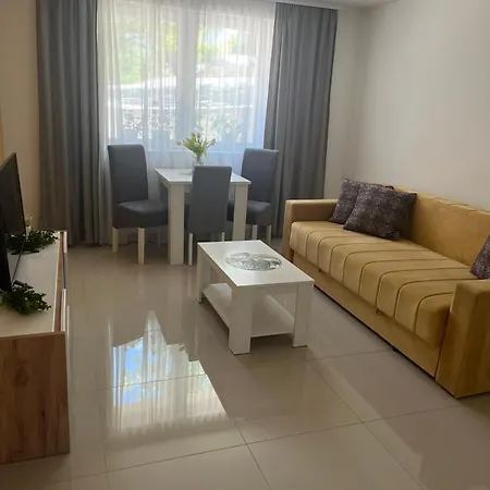 Apartment Apartman Mijailovic 4 Soko Banja